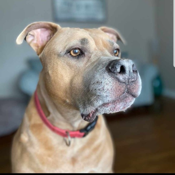 Meet your Posher, Rich - Picture 1 of 1